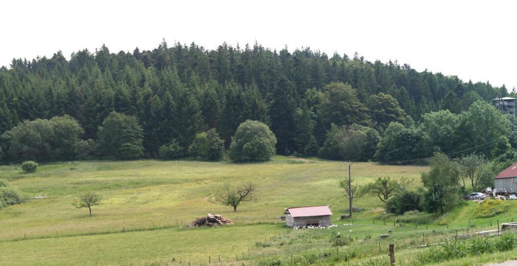 Gites Du Kreuzweg Le Hohwald Exterior foto