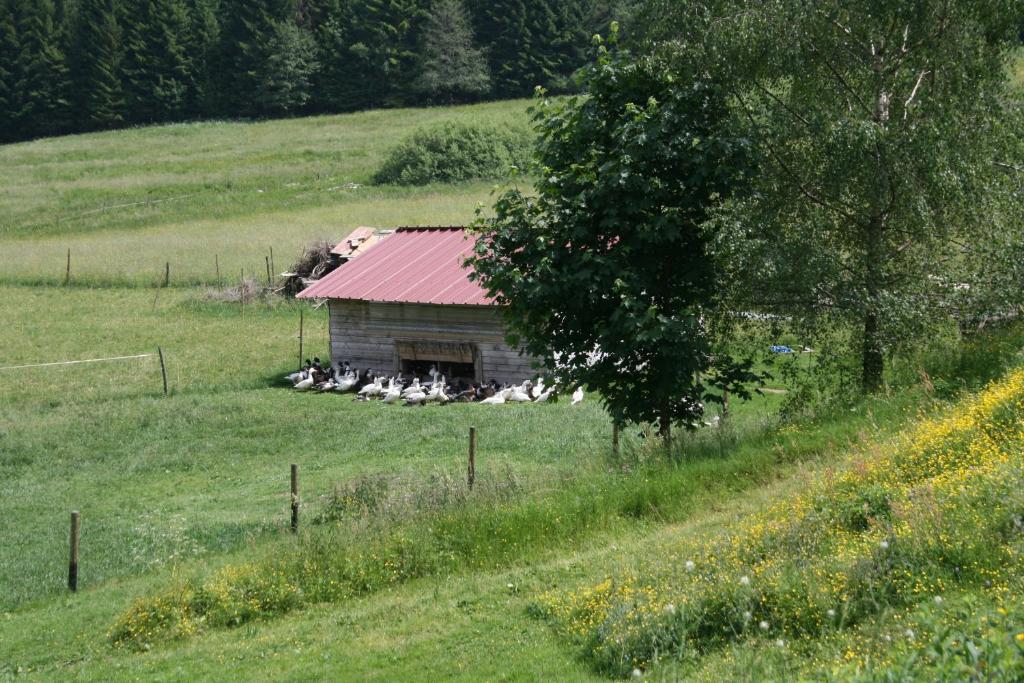 Gites Du Kreuzweg Le Hohwald Exterior foto